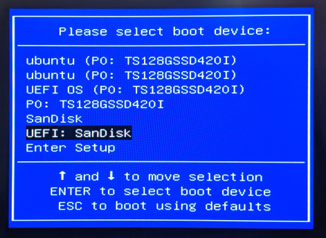 Boot selection